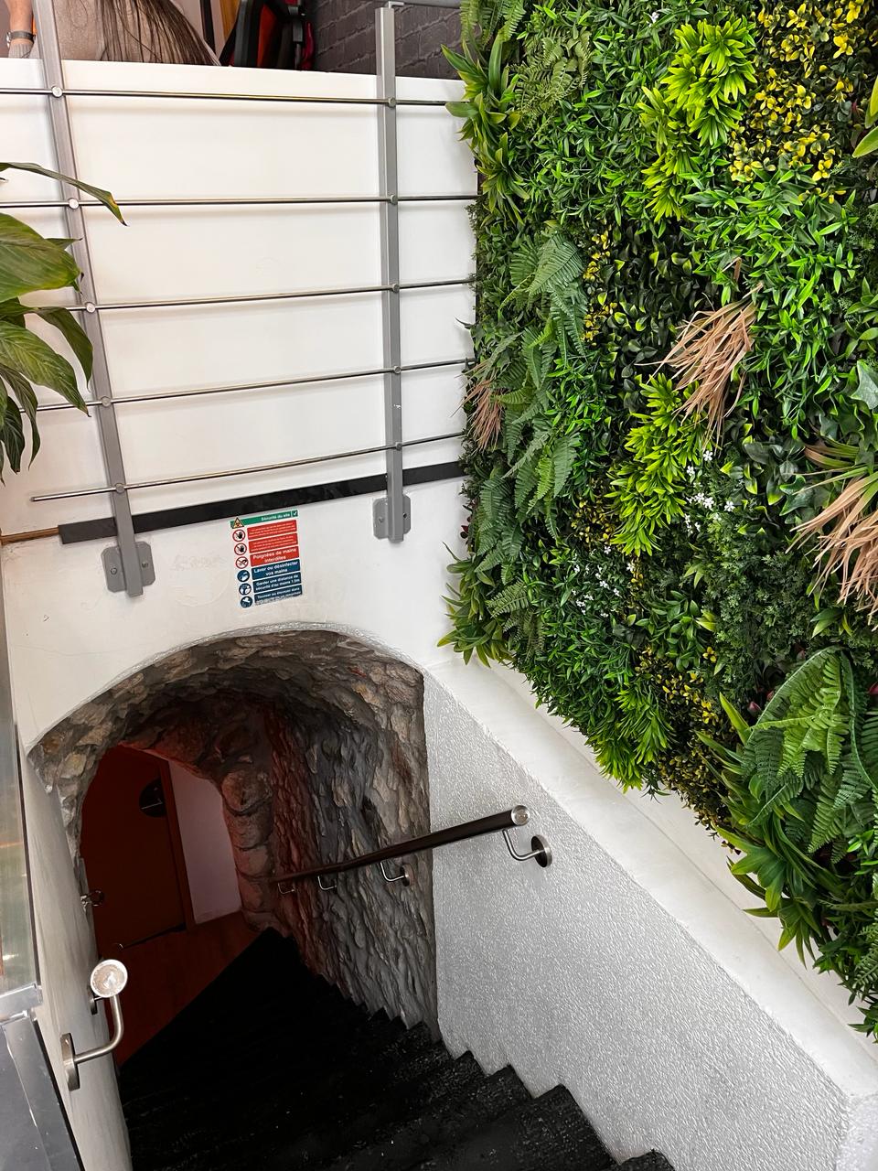 Escalier et mur végétal