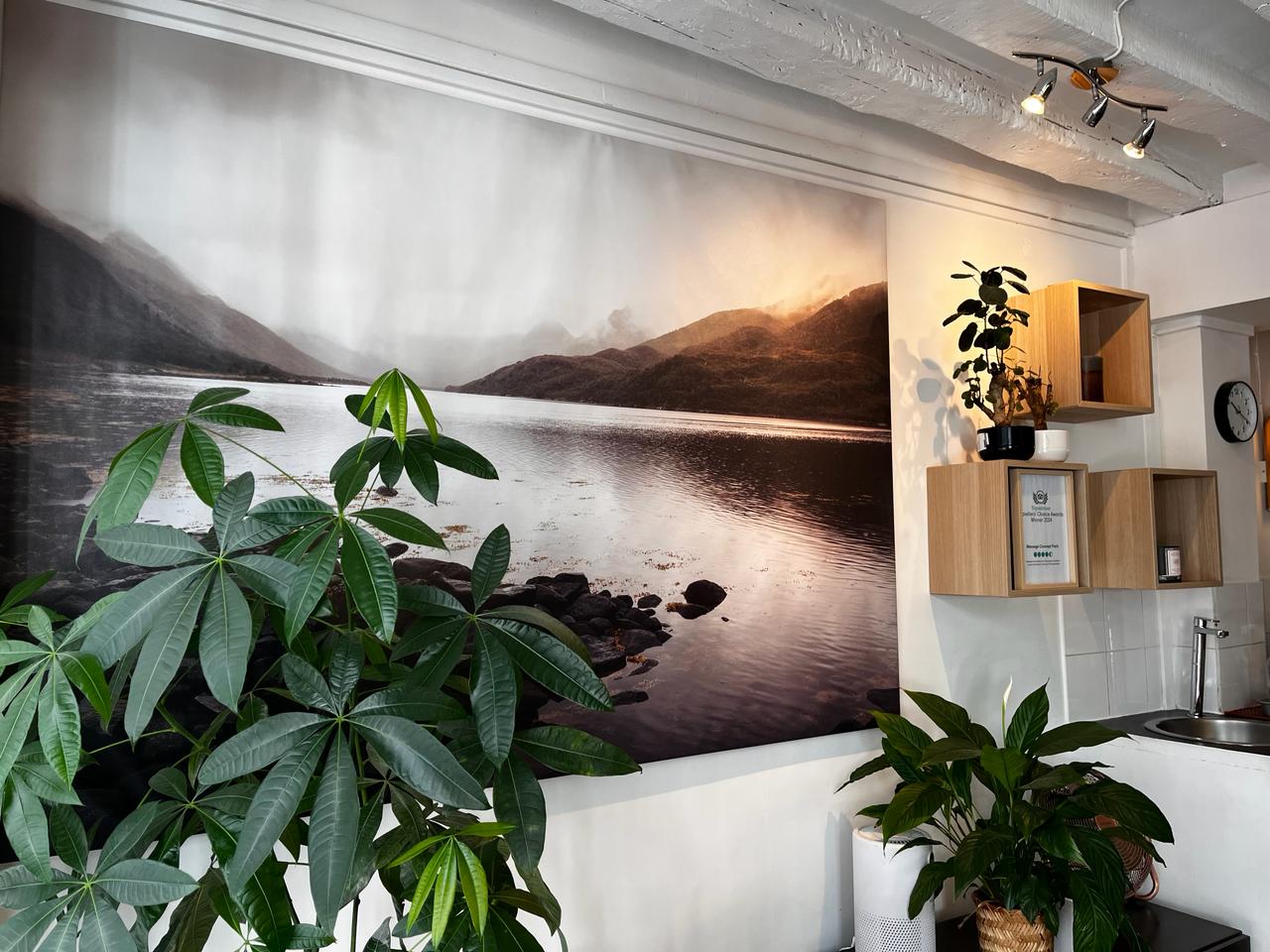Fresque murale d'un lac dans l'espace d'accueil